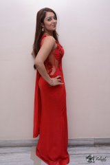 Nikitha at Terror Movie Press Meet